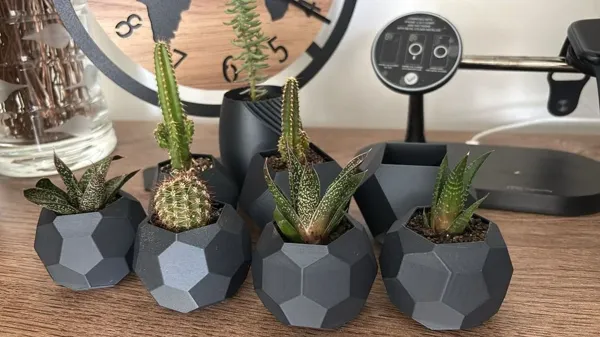 Collection de pots pour cactus