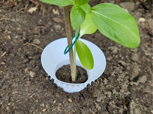 https://makerworld.bblmw.com/makerworld/model/UScee81e7ad413d5/design/2025-05-03_8651bc37e44918.jpg