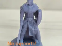 0.08mm layer, 2 walls, 15% infill