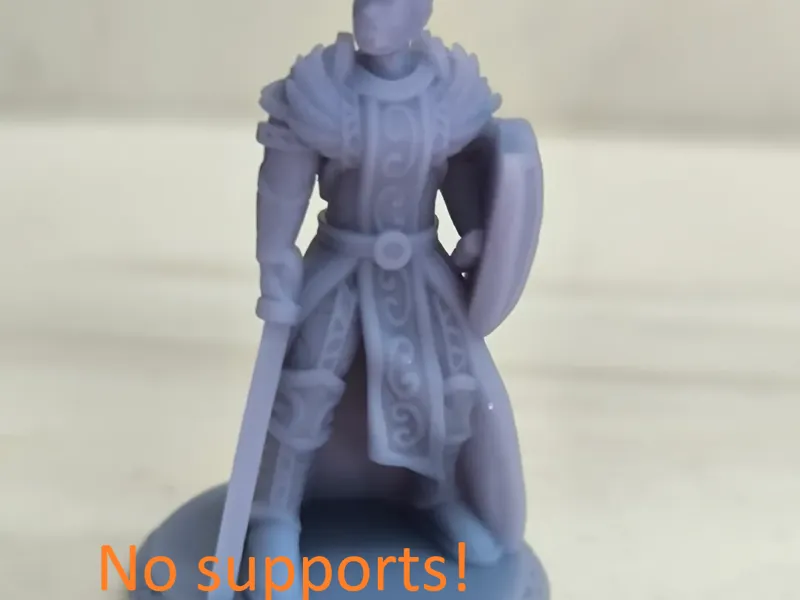 DnD Miniature - Human Paladin, no supports!