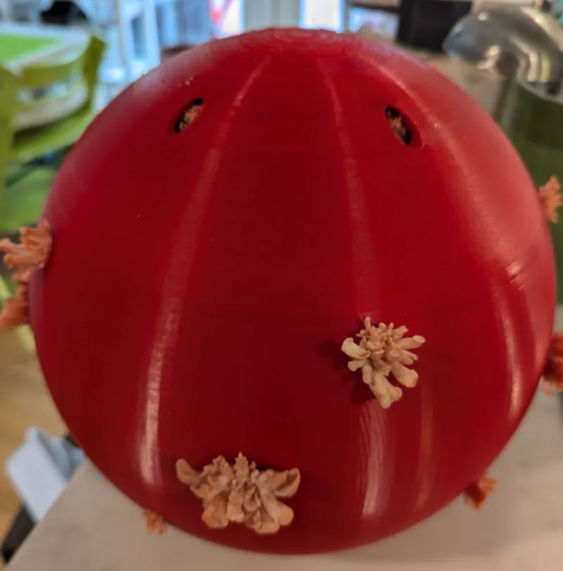 Mushroom Fruiting Sphere