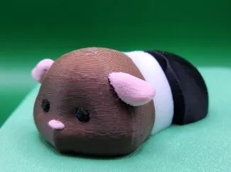 Guinea Pig