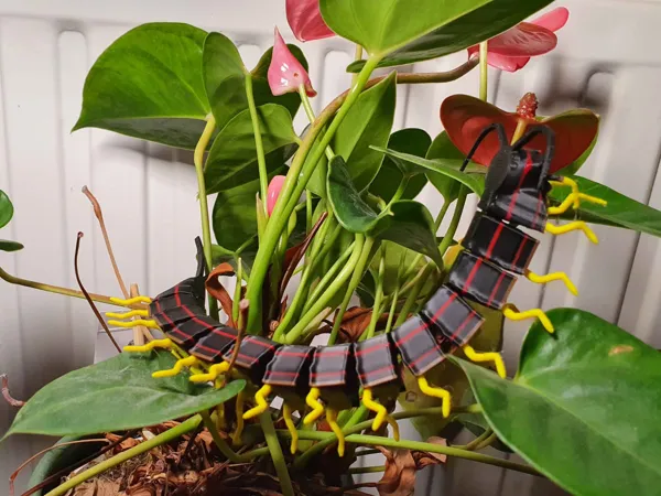 https://makerworld.bblmw.com/makerworld/model/UScef8ed119ab82a/design/2025-02-28_3a9285dc7b0df8.jpg