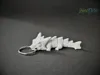Singlecolor / Keyring Edition