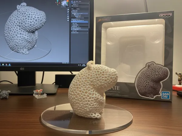 https://makerworld.bblmw.com/makerworld/model/UScefa4b8f075528/design/2025-09-24_3195250fa985b8.png