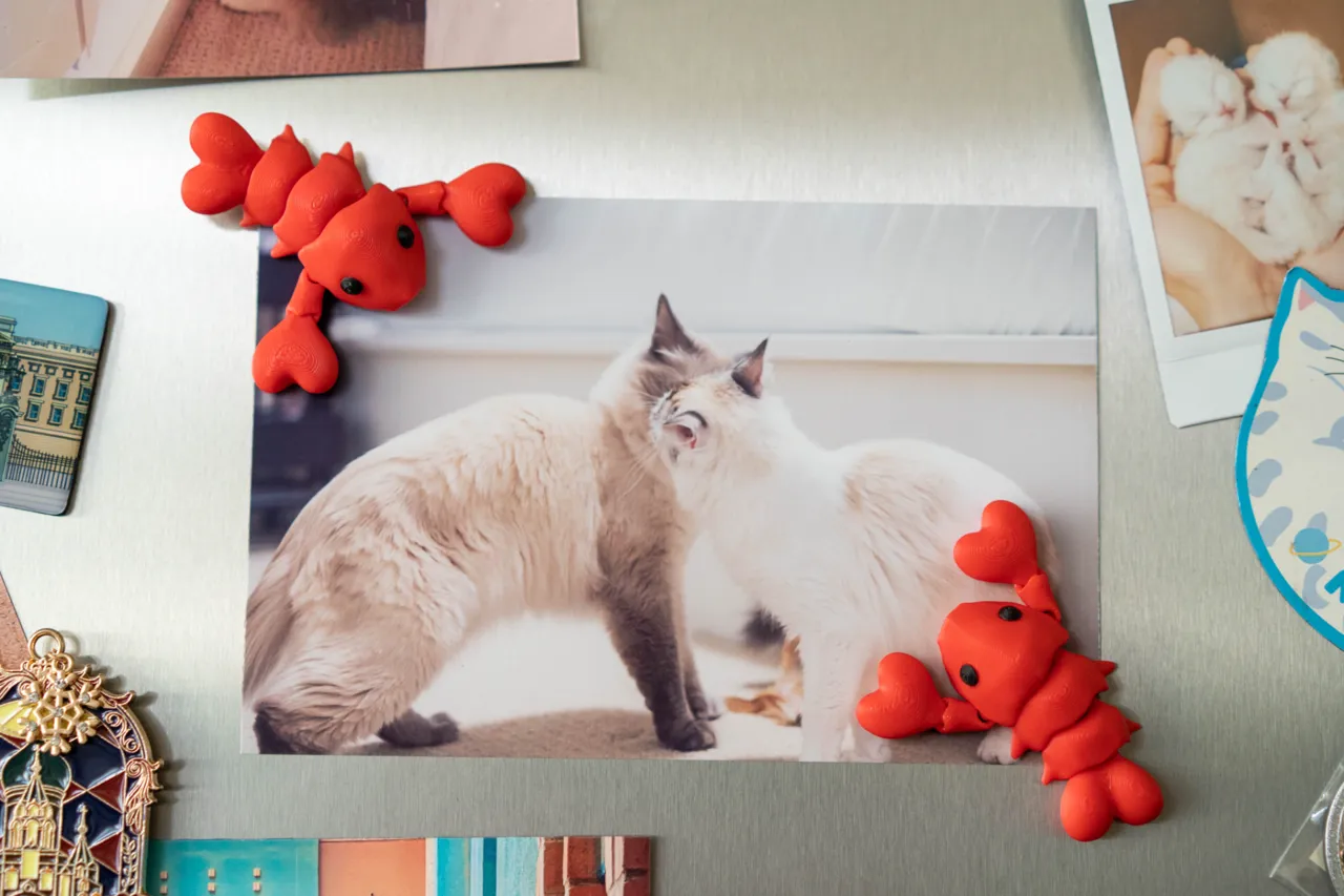 Flexi Lobster Holding Claws (Magnet & Keychain) view 3