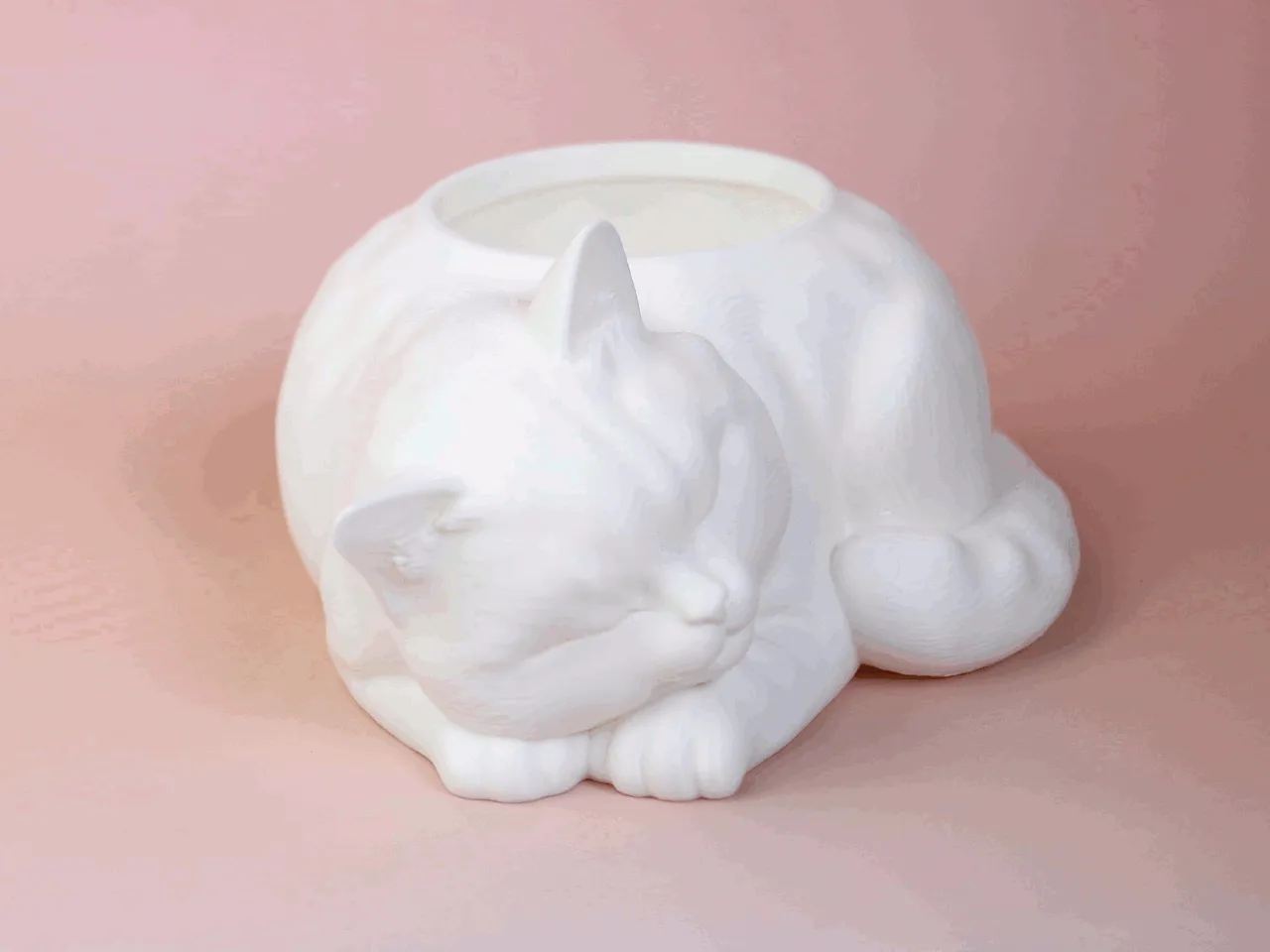 Sleeping Cat Planter / Pen Holder view 3