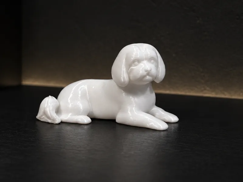Maltese dog - Animal - Decor