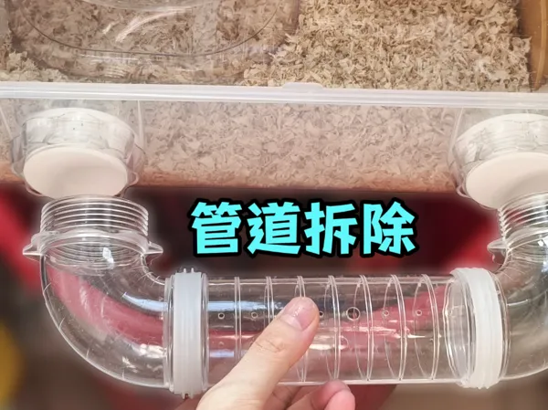 https://makerworld.bblmw.com/makerworld/model/UScf0db03d54f209/design/2025-09-04_95909ce4d119e.jpg