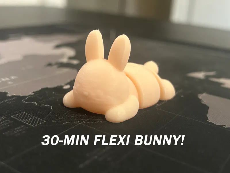 The Flexi Bunny 2.0