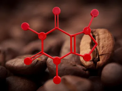 Caffeine Molecule Fridge Magnet 