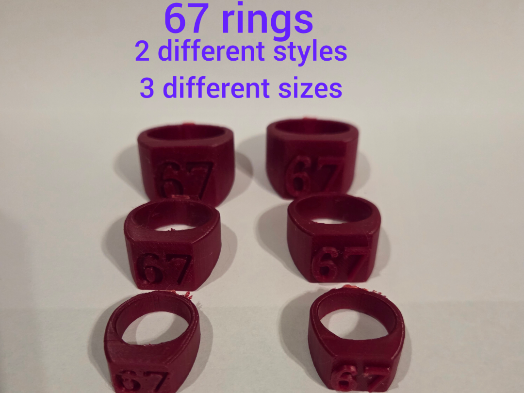 Miniatura 1 do modelo 3D 67 rings
