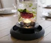 Drip Stand v2 - top and bottom - choose one of each