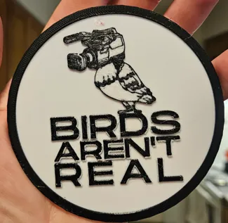Birds Aren't Real Coaster