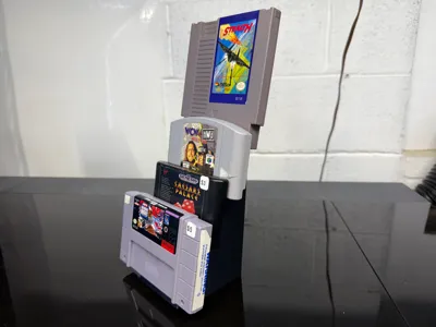 Vintage Video Game Cart Display - Nintendo - Sega