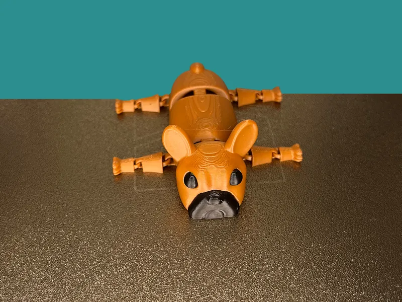 Aritculated French Bulldog Flexi