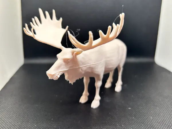 https://makerworld.bblmw.com/makerworld/model/UScf34b9a2dc2ba5/design/2025-01-04_6ec8bdbbdc03a.jpeg