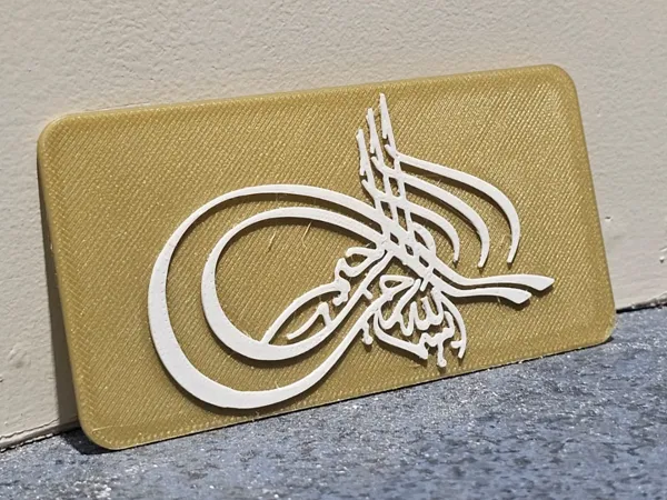 https://makerworld.bblmw.com/makerworld/model/UScf3892dde1246a/design/2025-01-19_8dec33bf4639f.jpg