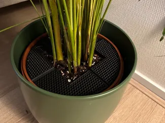 PlantSafe Plant Soil Protector Cat Dog Pet Proof