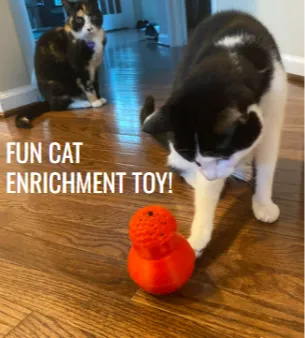 Fun Cat Enrichment Toy!