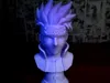 0.2mm layer, 2 walls, 5% infill