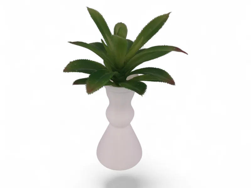 Modern White Vase with Soft Shapes