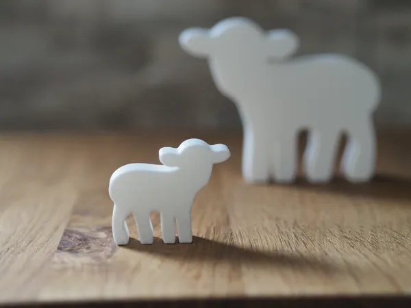 https://makerworld.bblmw.com/makerworld/model/UScf467ab53c4b02/design/2025-03-15_5824870110a79.jpg
