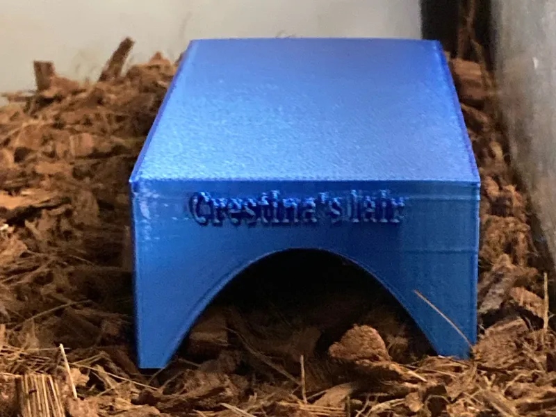 Gecko hide