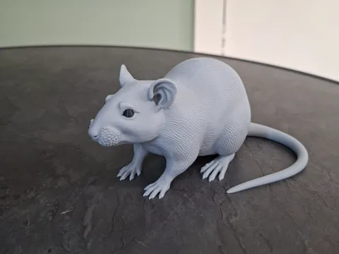 Figura decorativa: Realistic Rat Figurine — referencia de MakerWorld