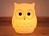 LED Lamp Kit Version