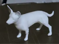 Petit chien Jack Russell — photo 1