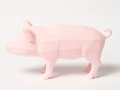Pig Low Poly
