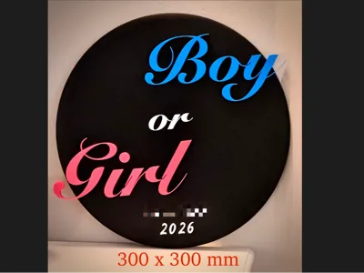 Gender Reveal Plate – Boy or Girl Party Decor