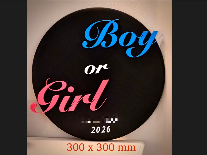 Gender Reveal Plate – Boy or Girl Party Decor