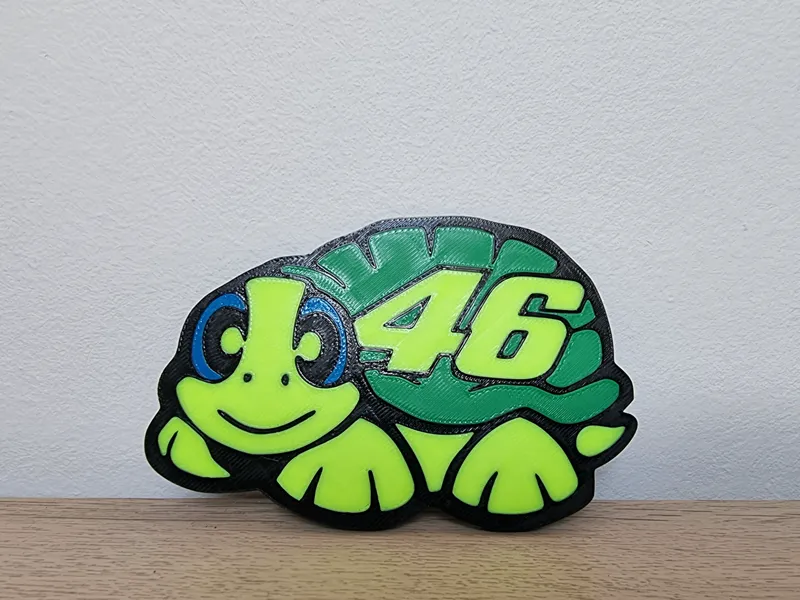 VR46 Turtle | Coaster