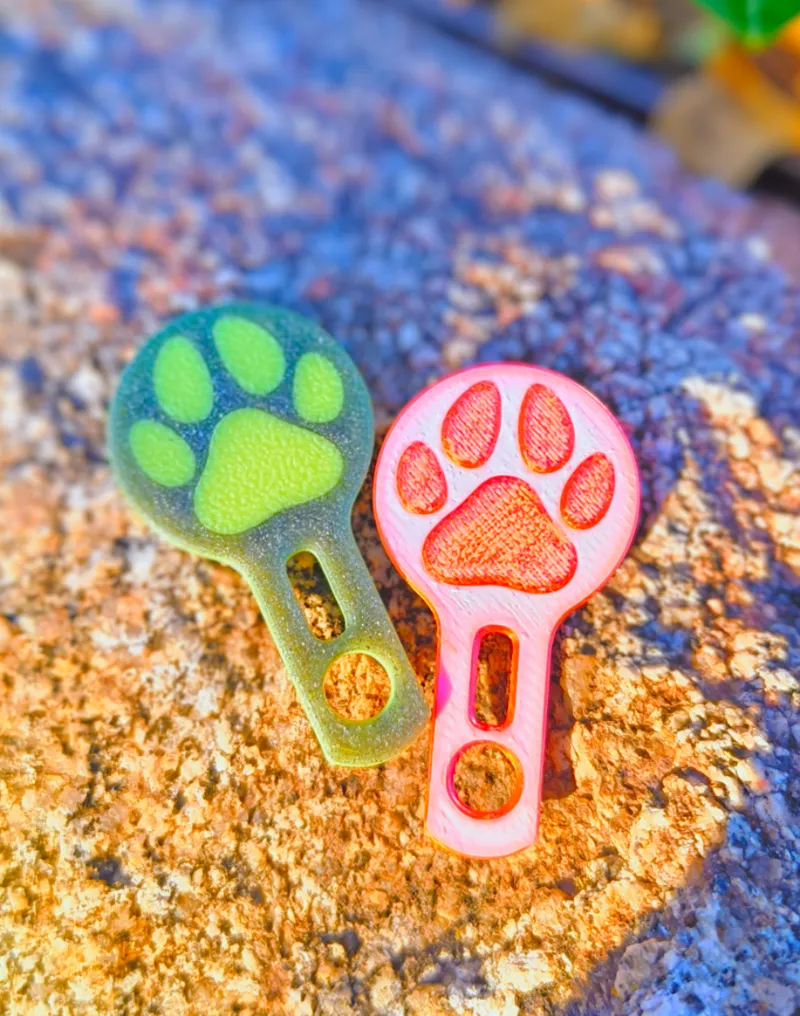 keychain coin for shopping carts