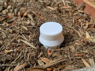 Outdoor Ant Bait Station