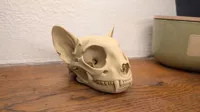 0.12mm layer, 2 walls, 15% infill