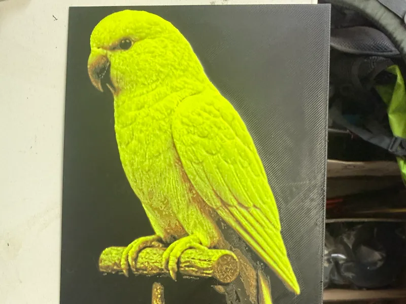 Indian Ringneck Parrot