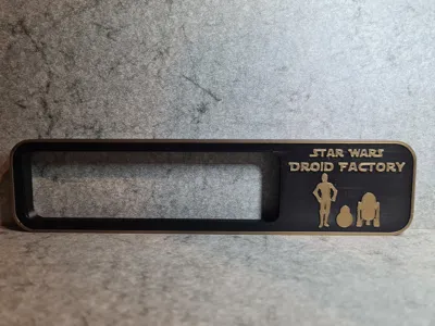 P1P & P1S Display Frame