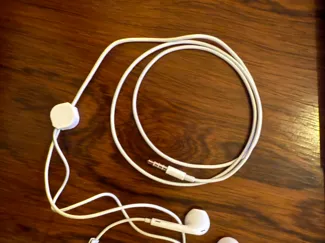 Apple earphones protector