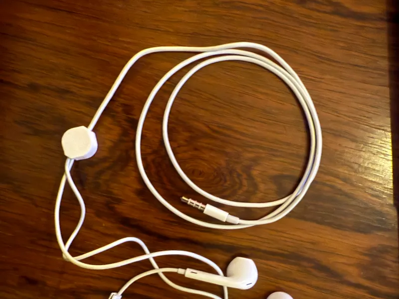 Apple earphones protector