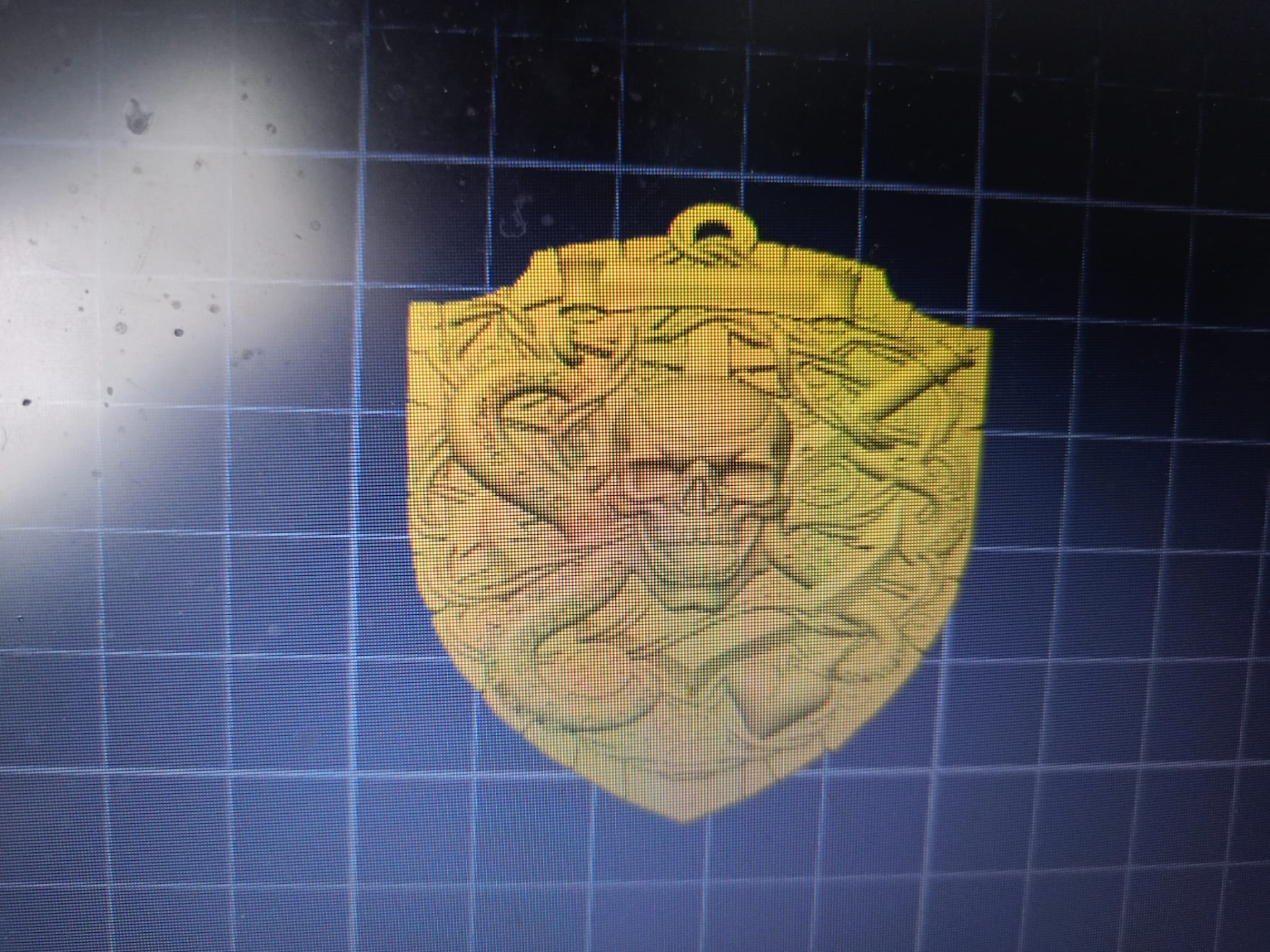 Pirate crest small version