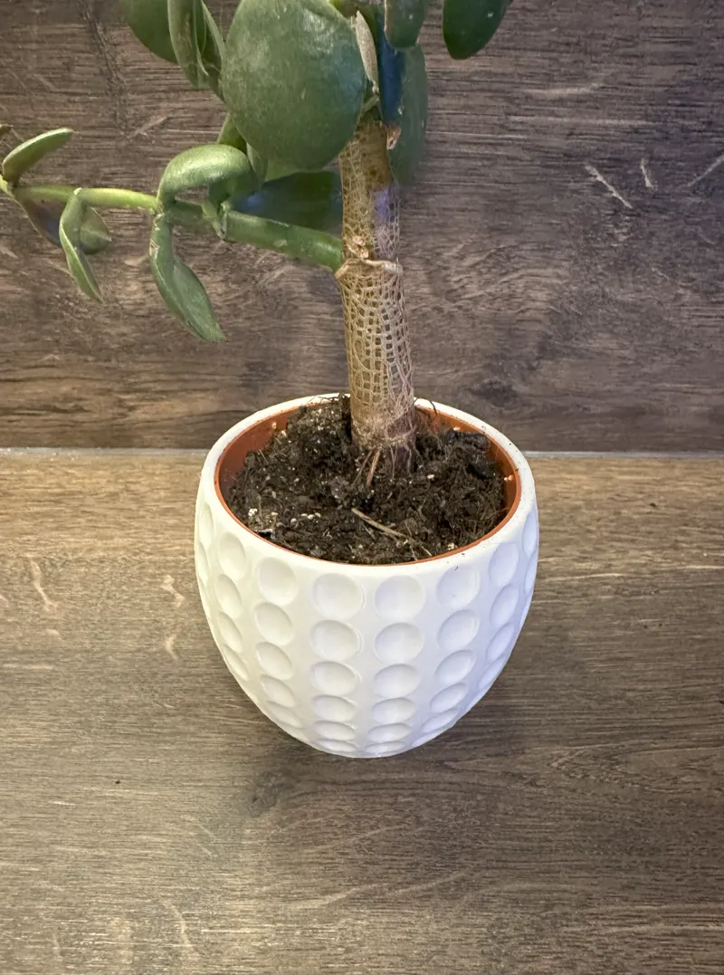 Plant Pot "Retro"