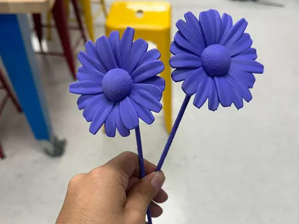 https://makerworld.bblmw.com/makerworld/model/UScf8a29ce3e5c45/design/85a7033dddfb93e5.jpeg