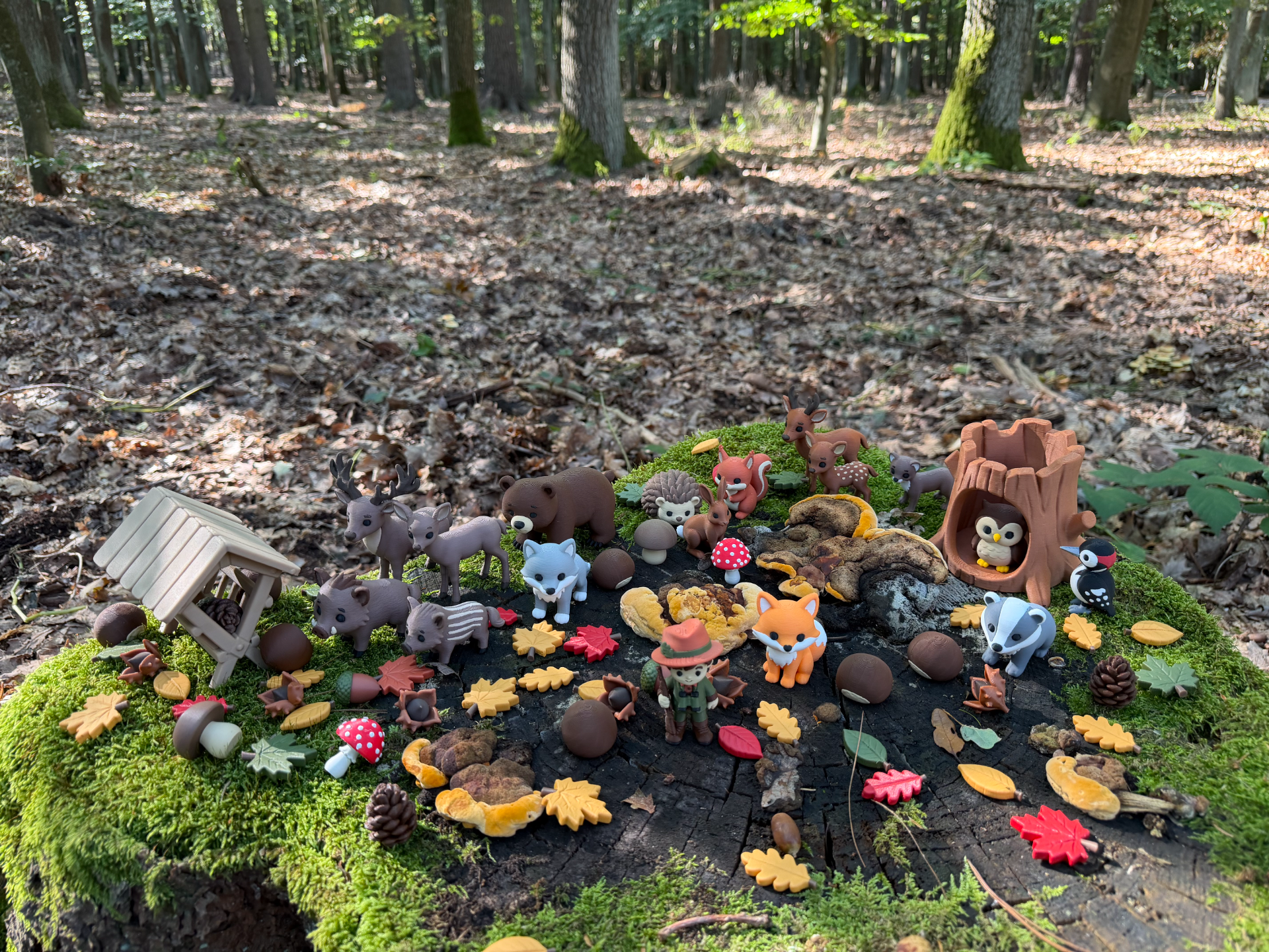 Forest Animals & Woodland Adventure Set - 1