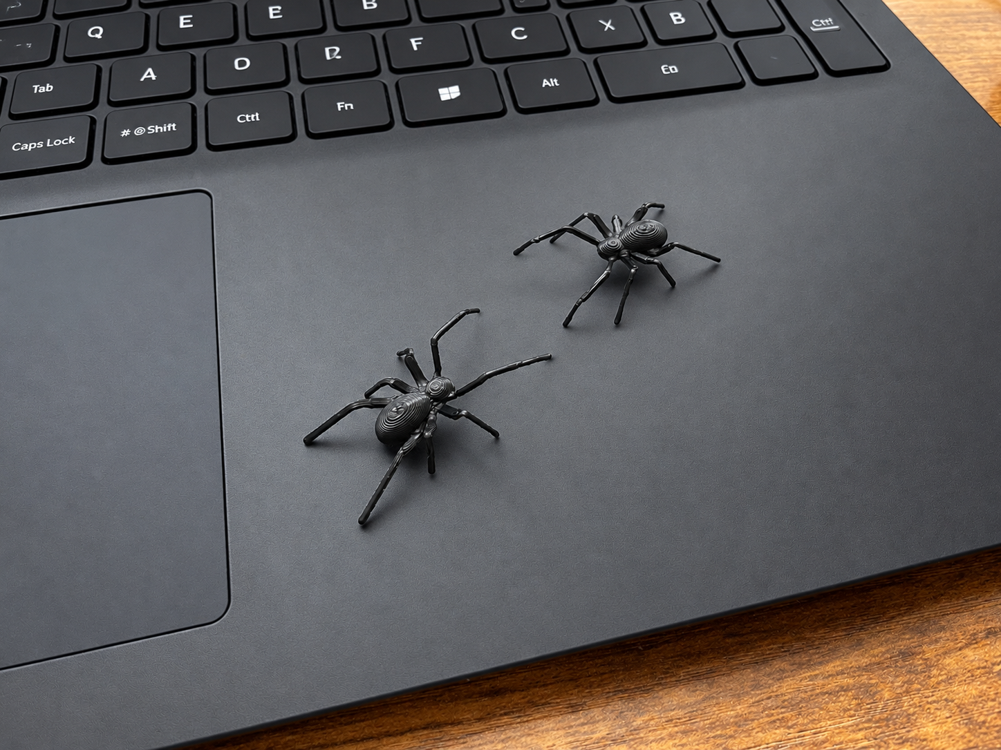 Spider 3D model