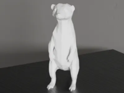 Meerkat