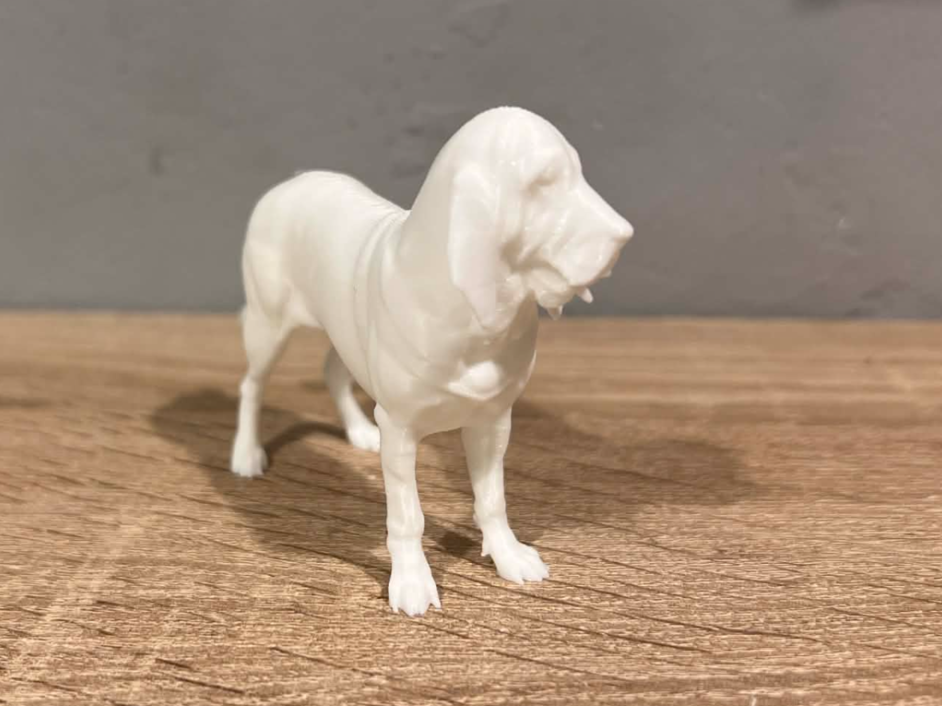 Bloodhound - Dog - Animal