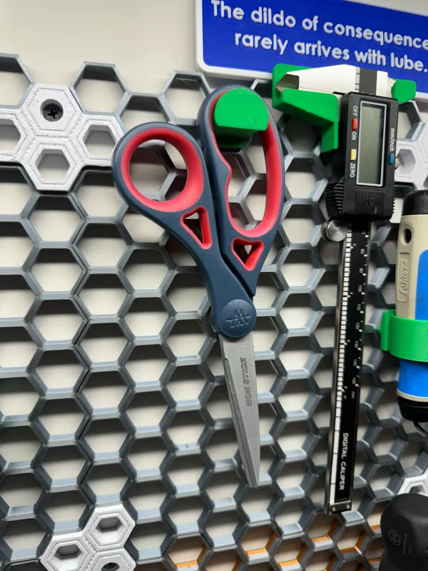 https://makerworld.bblmw.com/makerworld/model/UScf94255b38a1ba/design/2024-01-28_24401bad85b628.jpg